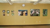 a group of paintings hanging on a wall in an art gallery